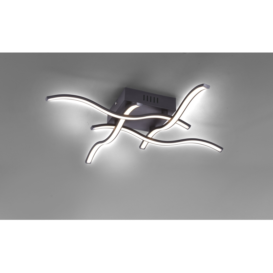 Leuchten Direkt 15131-18 - LED Стельовий світильник WAVE 4xLED/4,8W/230V