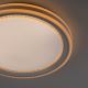 Leuchten Direkt 15154-16 - Светодиодный потолочный RGB-светильник с регулированием яркости EDGING LED/39W/230V + дистанционное управление