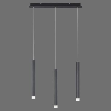 Leuchten Direkt 15203-18 - Підвісна LED люстра 3xLED/4,8W/230V чорний
