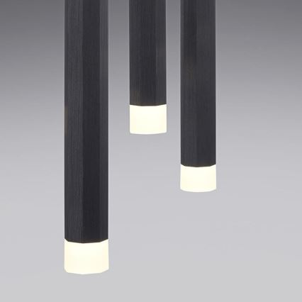 Leuchten Direkt 15203-18 - Светодиодная люстра на тросе 3xLED/4,8W/230V черная