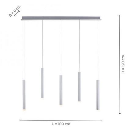 Leuchten Direkt 15205-95 - Підвісна LED люстра BRUNO 5xLED/4,8W/230V