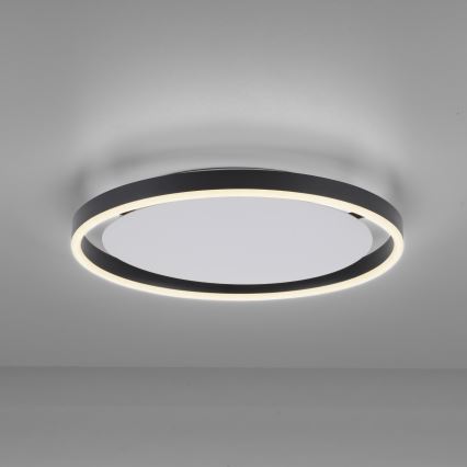 Leuchten Direkt 15391-13 - Світлодіодний регульований стельовий світильник RITUS LED/20W/230V чорний