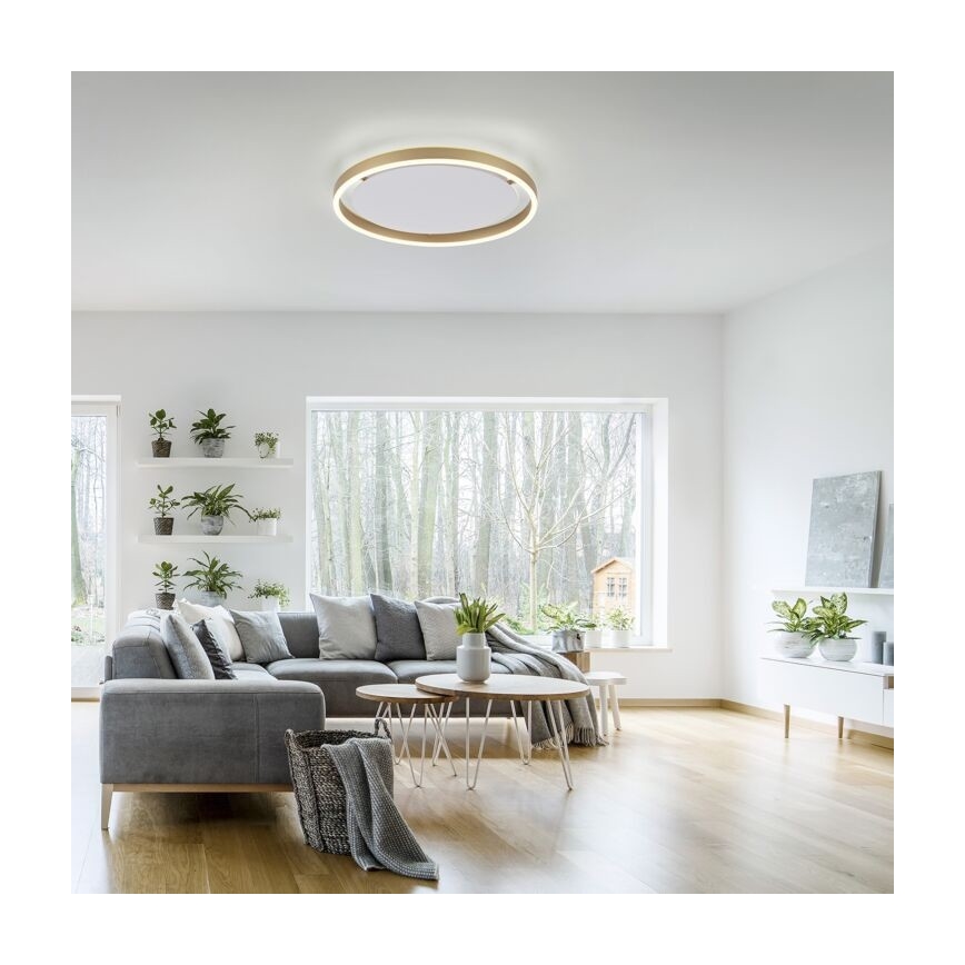 Leuchten Direkt 15391-60 - Стельовий LED світильник з регулюванням яскравості RITUS LED/20W/230V латунь