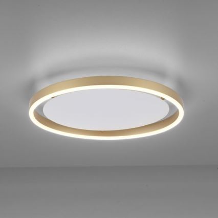 Leuchten Direkt 15391-60 - Стельовий LED світильник з регулюванням яскравості RITUS LED/20W/230V латунь