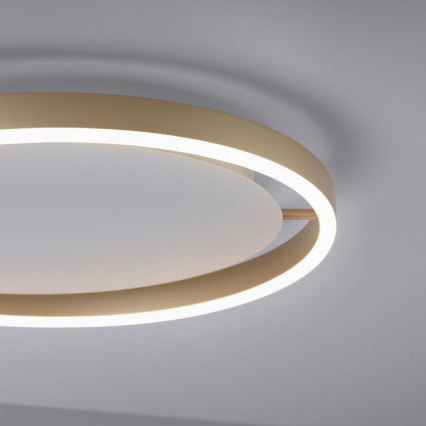 Leuchten Direkt 15391-60 - Стельовий LED світильник з регулюванням яскравості RITUS LED/20W/230V латунь