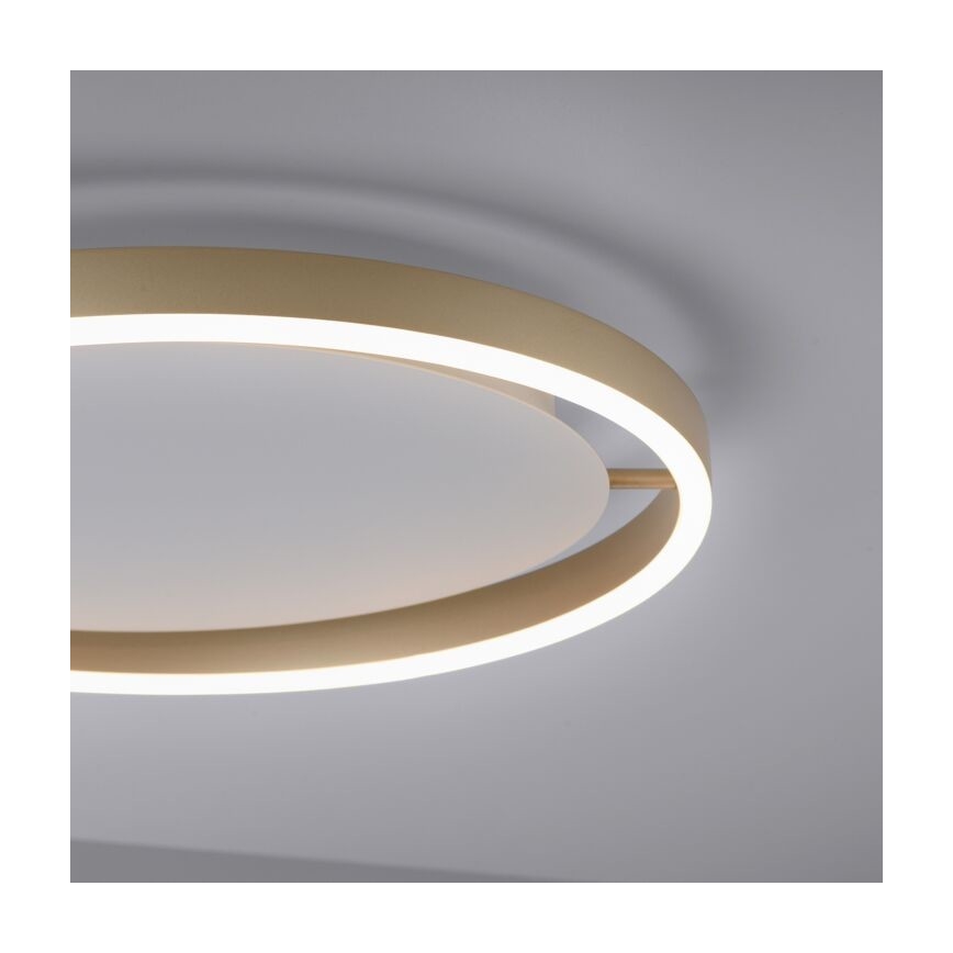 Leuchten Direkt 15391-60 - Стельовий LED світильник з регулюванням яскравості RITUS LED/20W/230V латунь