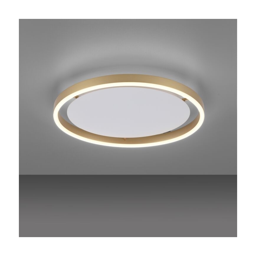 Leuchten Direkt 15391-60 - Стельовий LED світильник з регулюванням яскравості RITUS LED/20W/230V латунь