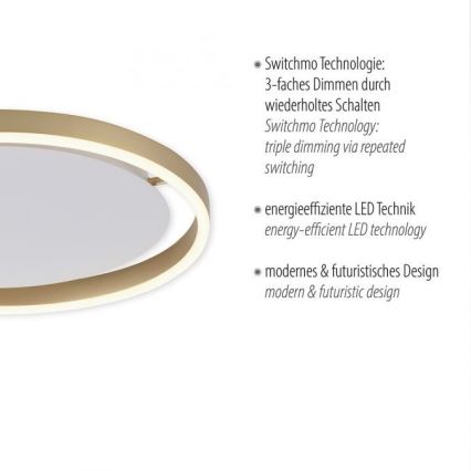 Leuchten Direkt 15391-60 - Стельовий LED світильник з регулюванням яскравості RITUS LED/20W/230V латунь