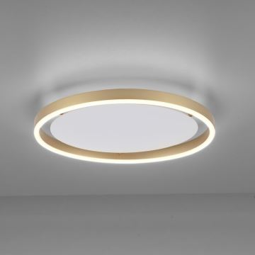 Leuchten Direkt 15391-60 - Светодиодный потолочный светильник с регулированием яркости RITUS LED/20W/230V латунь