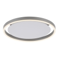 Leuchten Direkt 15391-95 - Світильник стельовий світлодіодний димований RITUS LED/20W/230V матовий хром