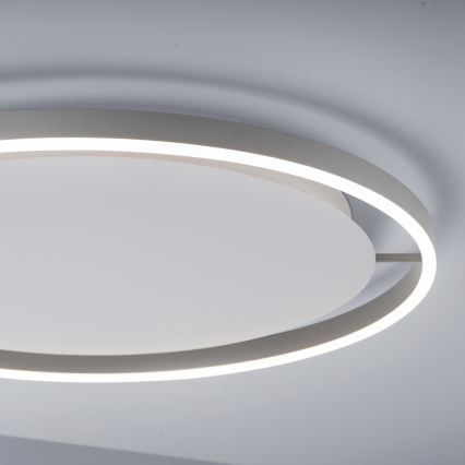 Leuchten Direkt 15392-95 - Світлодіодний регульований стельовий світильник RITUS LED/30W/230V матовий хром