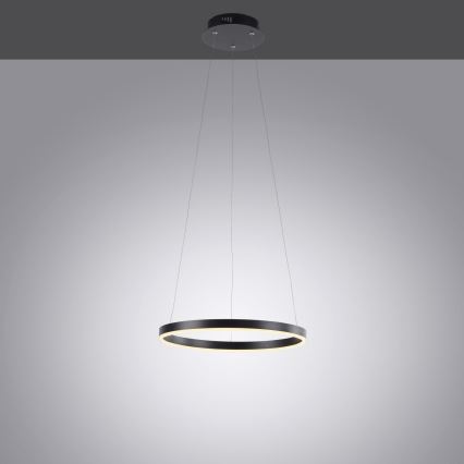 Leuchten Direkt 15393-13 - Светодиодная подвесная люстра с регулированием яркости RITUS LED/20W/230V черная