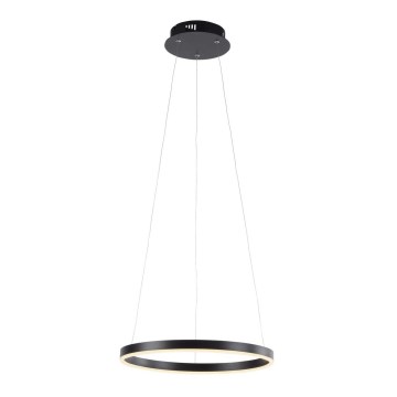 Leuchten Direkt 15393-13 - Світлодіодна регульована люстра на тросі RITUS LED/20W/230V чорна