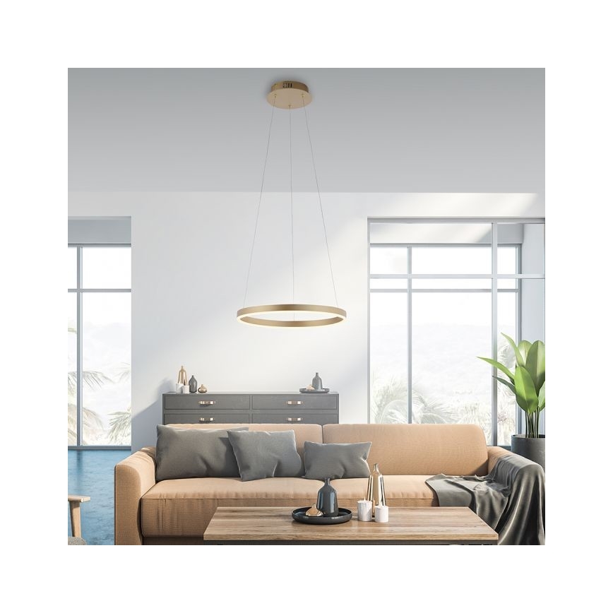 Leuchten Direkt 15393-60 - Светодиодная люстра с регулированием яркости RITUS LED/20W/230V