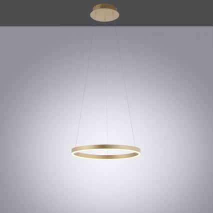 Leuchten Direkt 15393-60 - Светодиодная люстра с регулированием яркости RITUS LED/20W/230V