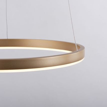 Leuchten Direkt 15393-60 - Светодиодная люстра с регулированием яркости RITUS LED/20W/230V