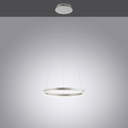 Leuchten Direkt 15393-95 - Светодиодная подвесная люстра с регулированием яркости RITUS LED/20W/230V матовый хром
