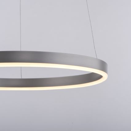 Leuchten Direkt 15393-95 - Светодиодная подвесная люстра с регулированием яркости RITUS LED/20W/230V матовый хром