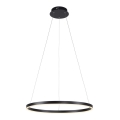 Leuchten Direkt 15394-13 - Світлодіодна регульована люстра на тросі RITUS LED/30W/230V чорна