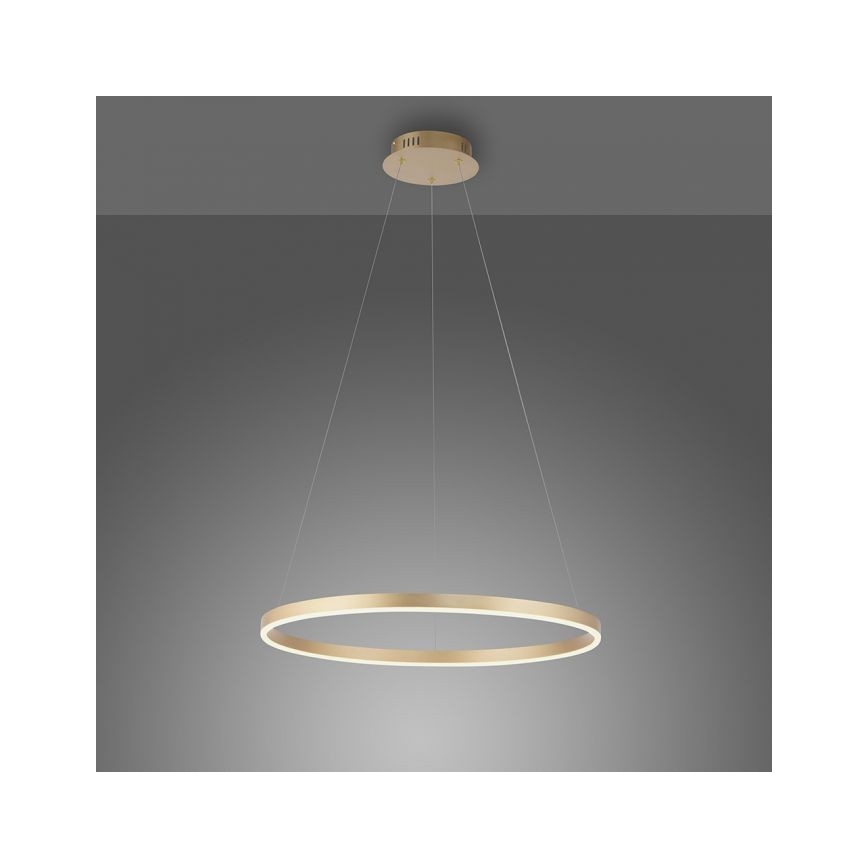 Leuchten Direkt 15394-60 - Підвісна LED люстра з регулюванням яскравості RITUS LED/30W/230V латунь