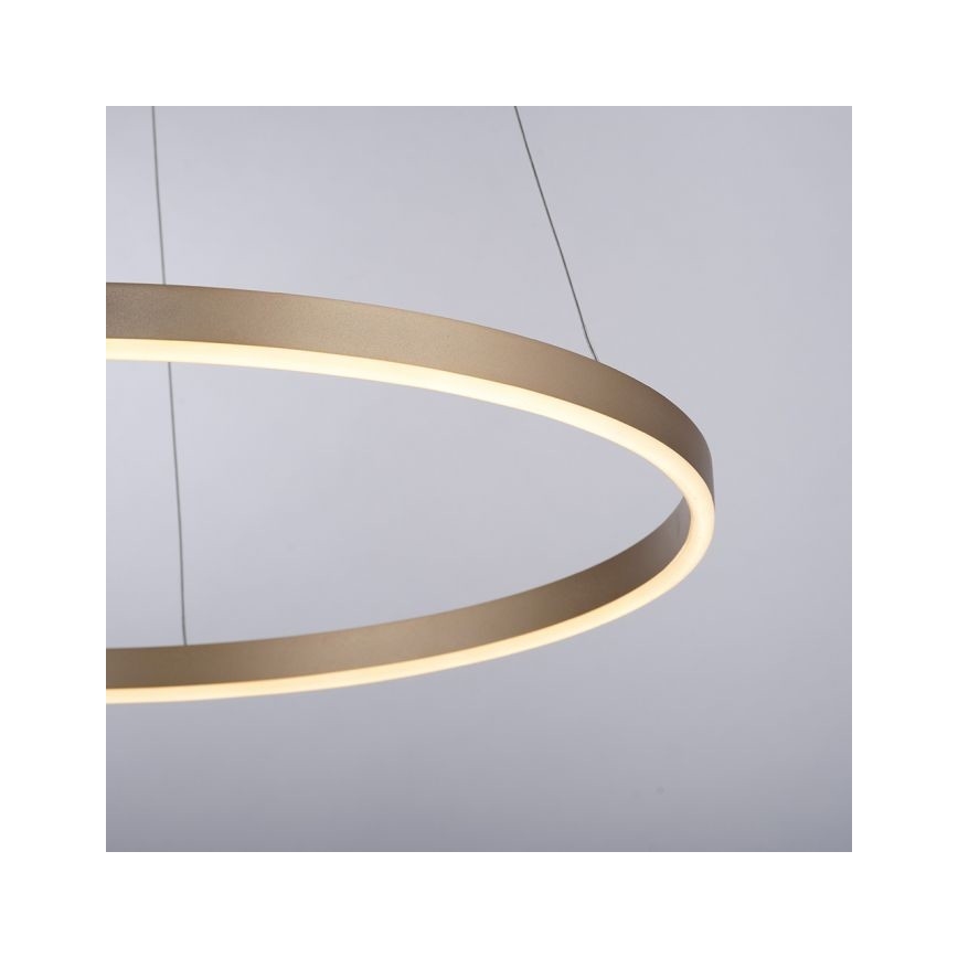 Leuchten Direkt 15394-60 - Підвісна LED люстра з регулюванням яскравості RITUS LED/30W/230V латунь