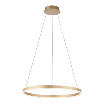 Leuchten Direkt 15394-60 - Підвісна LED люстра з регулюванням яскравості RITUS LED/30W/230V латунь