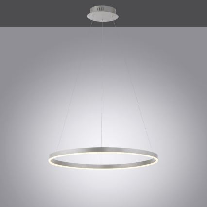 Leuchten Direkt 15394-95 - Светодиодная подвесная люстра с регулированием яркости RITUS LED/30W/230V матовый хром