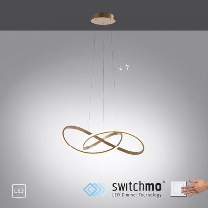 Leuchten Direkt 15402-60 - Підвісна LED люстра з регулюванням яскравості MARIA LED/25W/230V