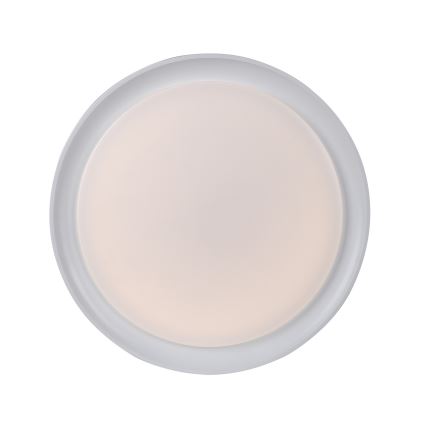 Leuchten Direkt 15544-16 - LED RGB стельовий світильник з регулюванням яскравості RIBBON LED/15W/230V