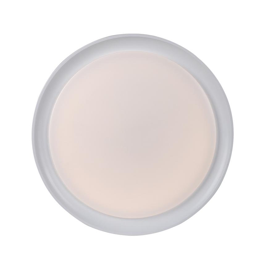 Leuchten Direkt 15544-16 - LED RGB стельовий світильник з регулюванням яскравості RIBBON LED/15W/230V