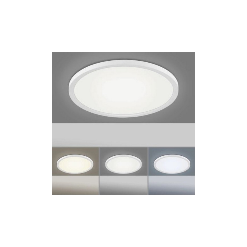 Leuchten Direkt 15571-16 - Светодиодный диммируемый потолочный светильник FLAT LED/23,5W/230V 2700-5000K + пульт ДУ