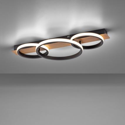 Leuchten Direkt 15616-78 - Світлодіодний стельовий світильник TROOPER LED/37W/230V