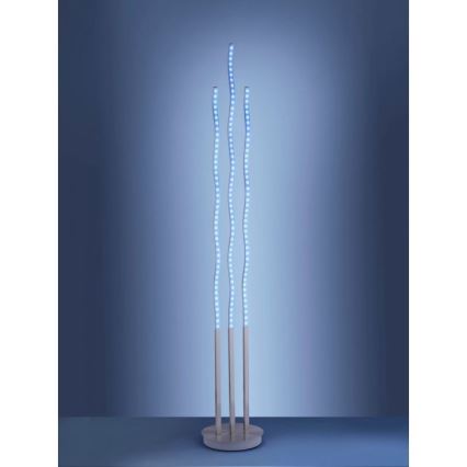 Leuchten Direkt 16268-55 - Світлодіодний RGB торшер з регулюванням яскравості WAVE LED/31W/230V + пульт дистанційного керування