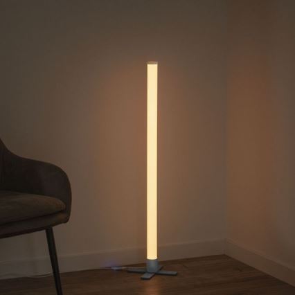 Leuchten Direkt 19902-21 - LED RGB Лампа з регулюванням яскравості RINGO LED/10W/230V + дистанційне керування