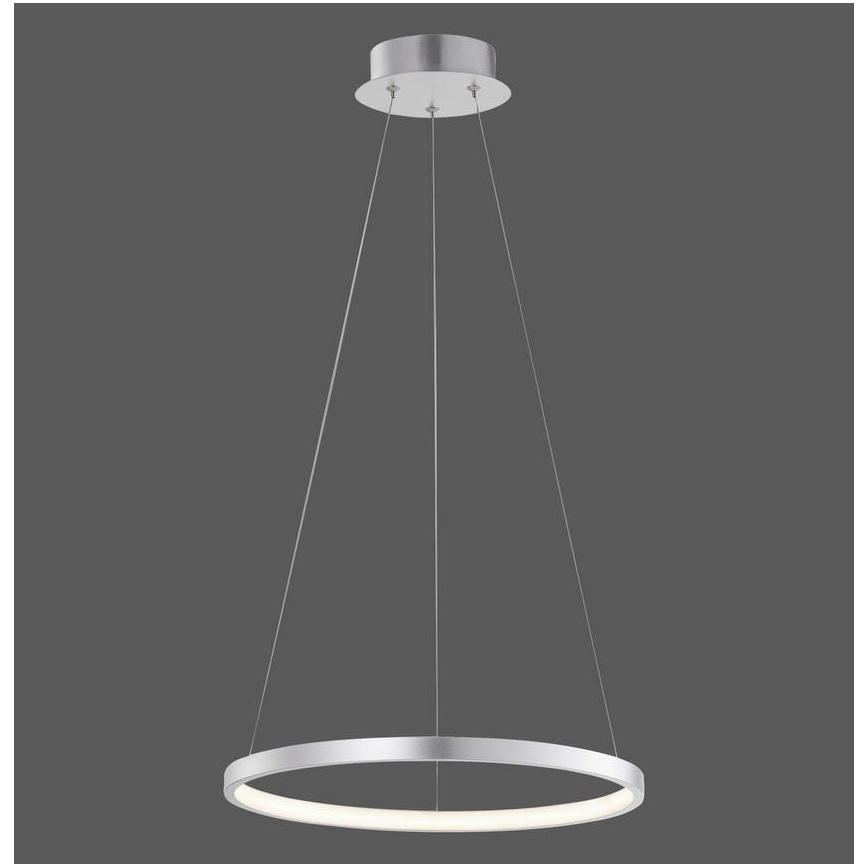 Leuchten Direkt L16270-21 - Светодиодная диммируемая RGB-люстра на тросе CIRCLE LED/25W/230V + пульт ДУ