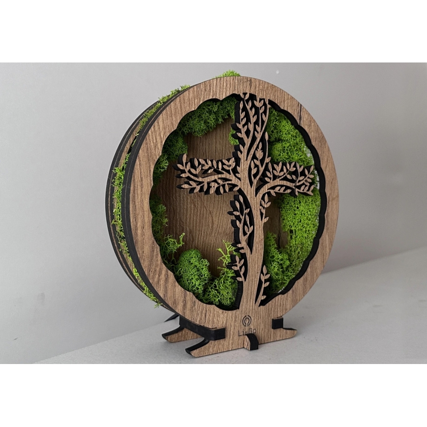 Li-Go 23622/DUB2 - Светодиодная настольная декоративная лампа с диммером LED/12W/230V 20x22 cm дуб/Крест в мху