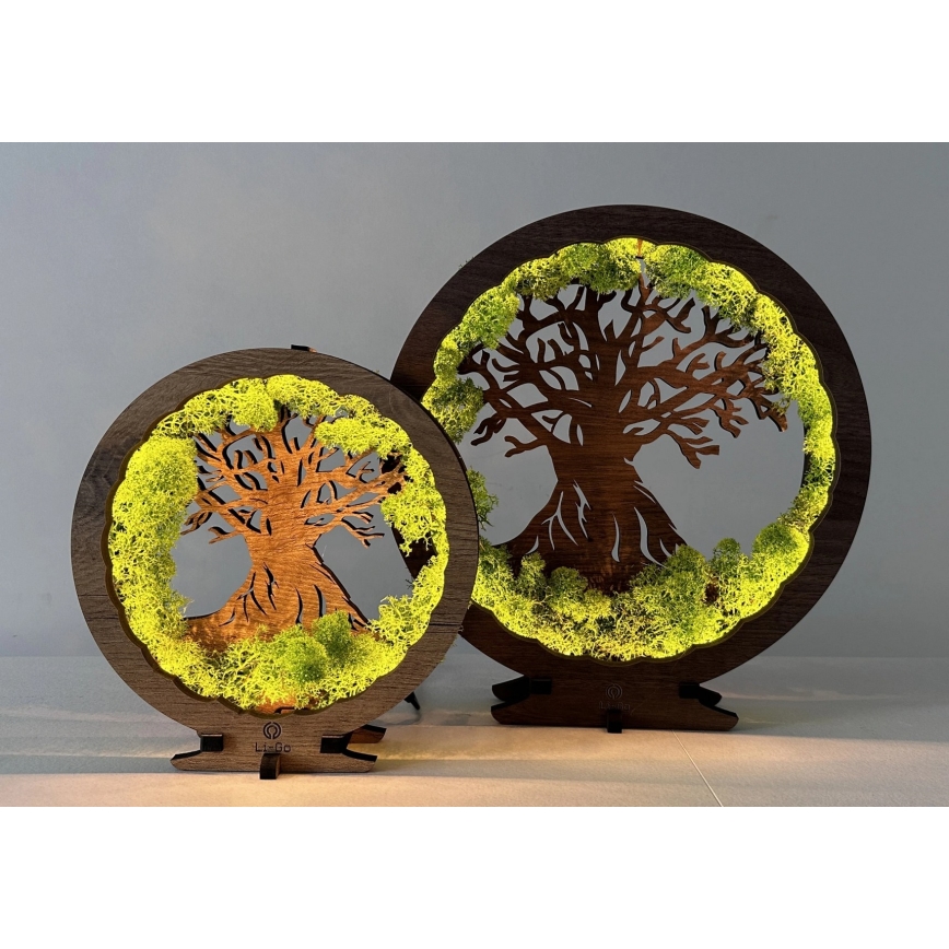 Li-Go 23631/DUB2 - настільна декоративна LED-лампа з регулюванням яскравості, LED/12 Вт/230 В, 30x31 см, дуб/мох і дерево
