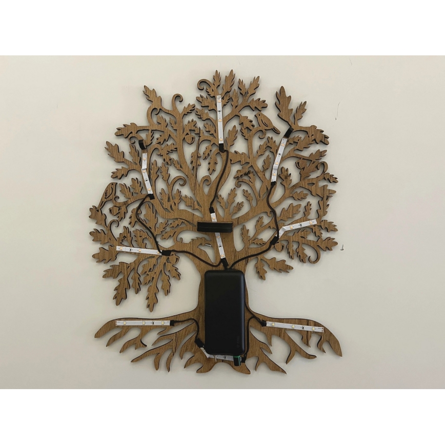 Li-Go 23673/DUB2 - LED з регулюванням яскравості настінний декоративний світильник LED/10W/5V 20000 mAh 45x55 cm дуб + пульт дистанційного керування