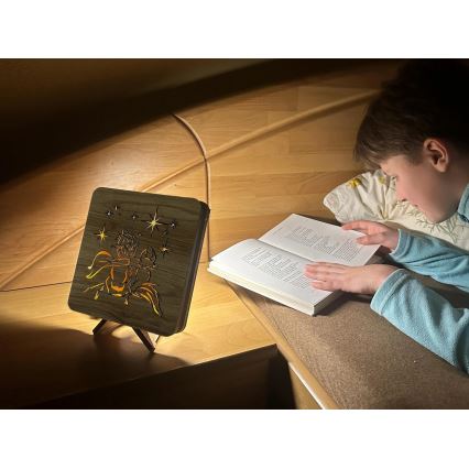 Li-Go 5788/DUB2 - Настольный декоративный светильник LED/12W/230V 19x19 cm дуб/Маленький принц