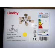 Lindby - Люстра на штанзі ELAINA 5xE14/5W/230V