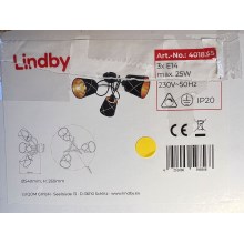 Lindby - Припотолочная люстра SINDRI 3xE14/25W/230V
