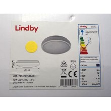Lindby - Светодиодный потолочный светильник с датчиком CAMILLE LED/12W/230V