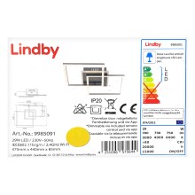 Lindby - Светодиодный потолочный светильник с регулированием яркости CLEAS LED/29W/230V + пульт ДУ