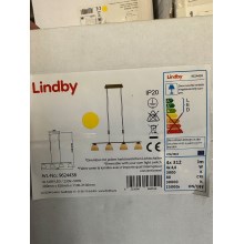 Lindby - Світлодіодна підвісна люстра з регулюванням яскравості CERSEI 4xLED/4,8W/230V