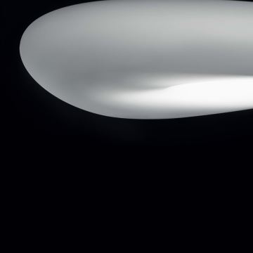 Linea Light 7792 - Потолочный светильник MR. MAGOO 1x2GX13/22W/230V диаметр 52 см
