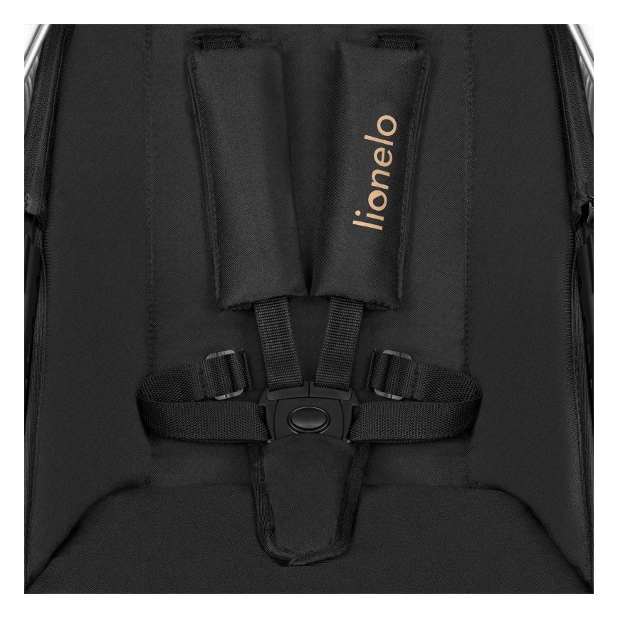 Lionelo - комбинированная коляска 2 в 1 AMBER черный оникс