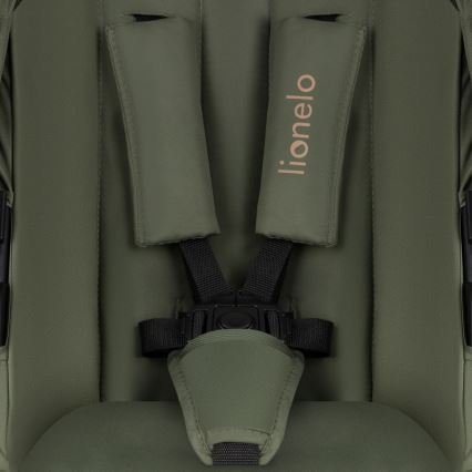 Lionelo - Комбинированная коляска 2 в 1 AMBER PLUS Лесной зелёный