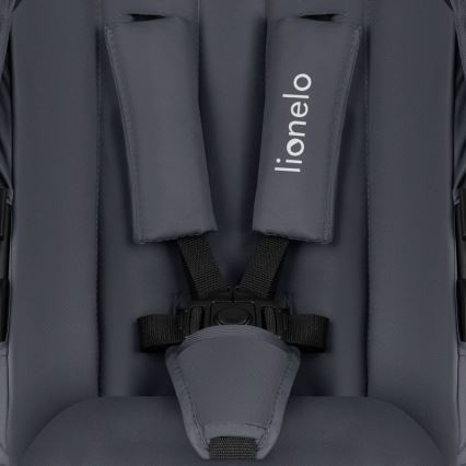 Lionelo - Комбинированная коляска 2 в 1 AMBER PLUS Серый графит