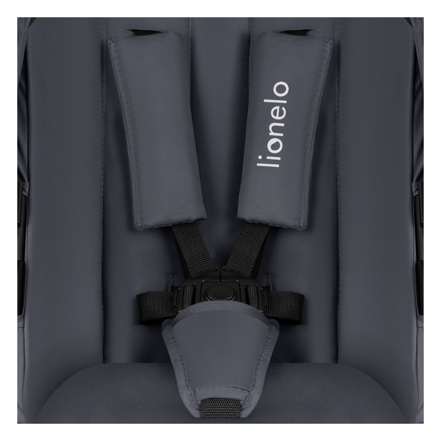 Lionelo - Комбинированная коляска 2 в 1 AMBER PLUS Серый графит