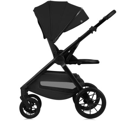 Lionelo - комбинированная коляска 2 в 1 LAYLA Black Onyx